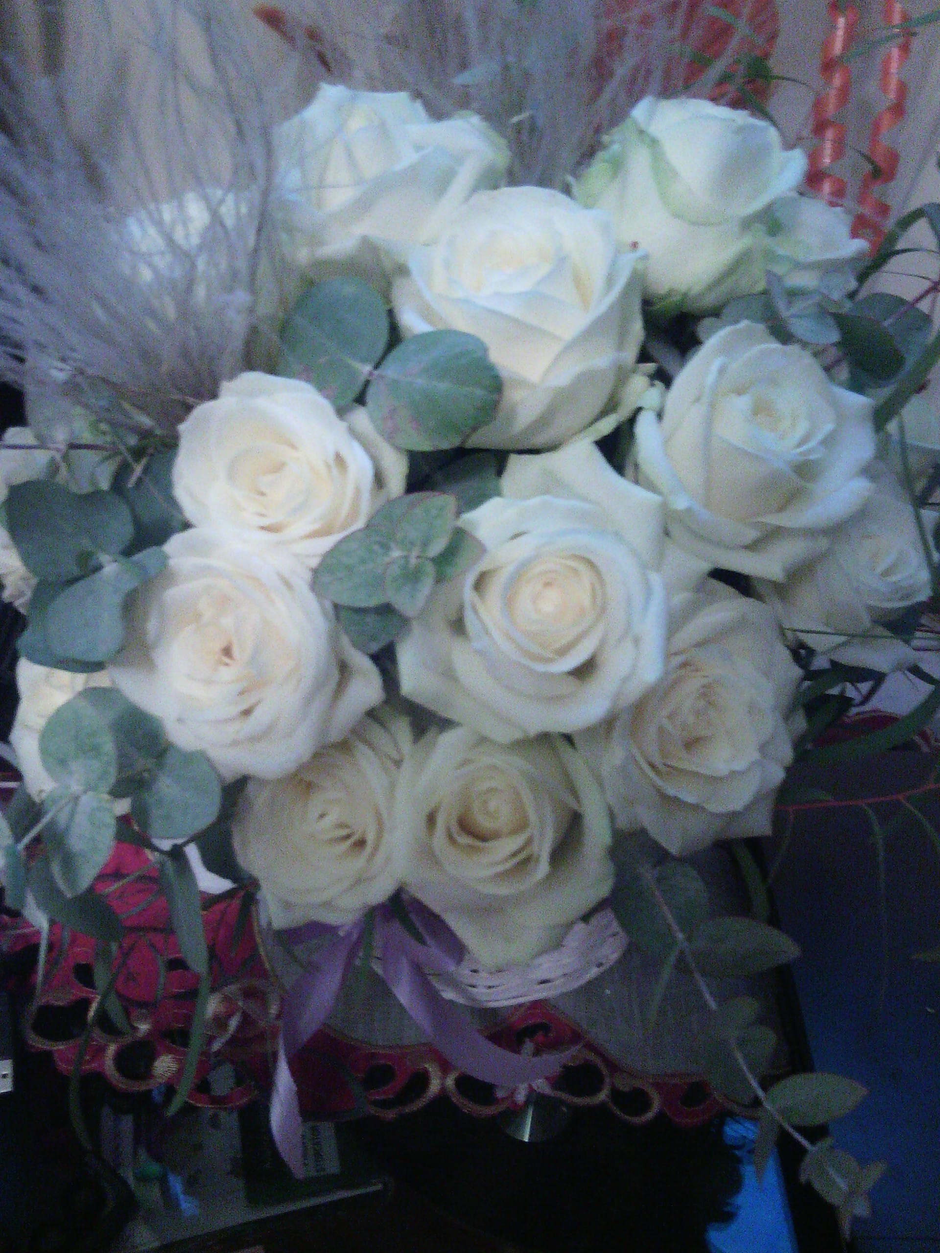 Eli's & Kely's Web Page